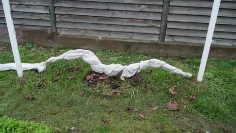 Using agrofibre to insulate grapevines in winter Stock Footage 324697876