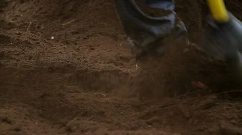 Using air gun on dirt around tree Stock Footage 19318235
