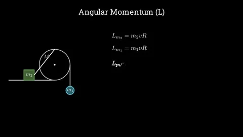Using angular momentum and torque Stock Footage 335190846