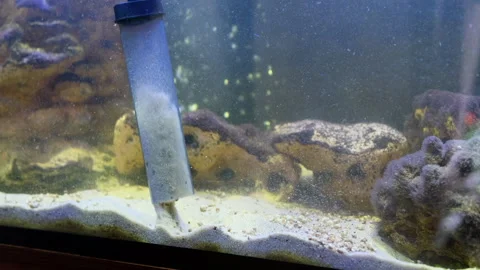 Using of battery powered gravel cleaner in Stock Footage 243837151