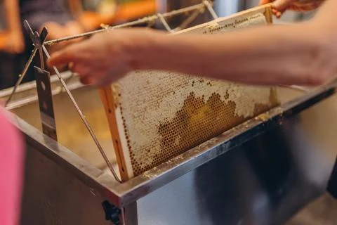 Using beekeeping tools for opening wax cells full of ready product. Stock Photos
