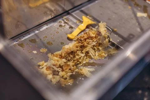 Using beekeeping tools for opening wax cells full of ready product. Stock Photos