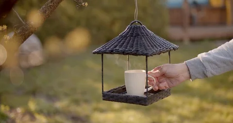 Using bird feeder for putting a cup of hot drink. Self-isolation in countryside. Stock Footage 128325057