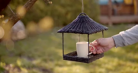Using bird feeder for putting a cup of hot drink. Morning tea ceremony. Close-up Vidéo 153918457