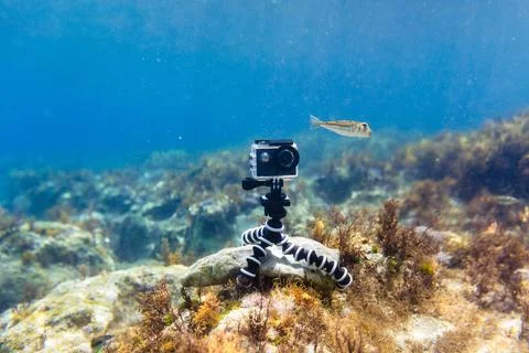 Using camera in waterproof box on a tripod to make photos and video Stock Photos