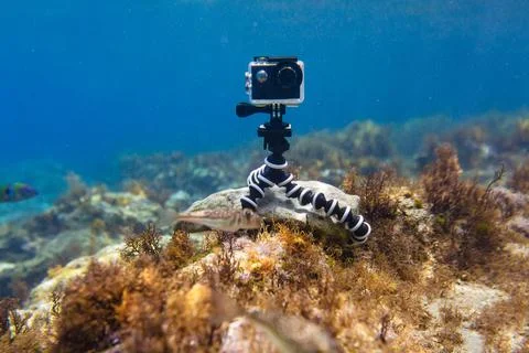 Using camera in waterproof box on a tripod to make photos and video Foto stock