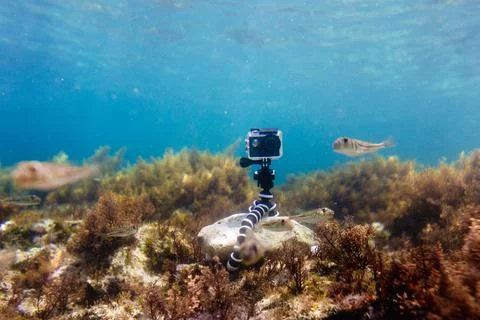 Using camera in waterproof box on a tripod to make photos and video Stock Photos