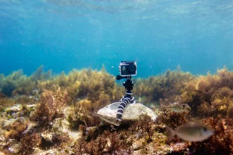 Using camera in waterproof box on a tripod to make photos and video Stock-Fotos