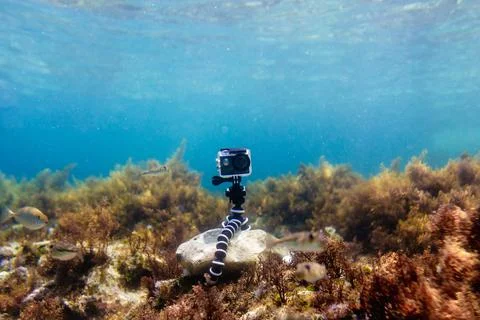 Using camera in waterproof box on a tripod to make photos and video Stock Photos