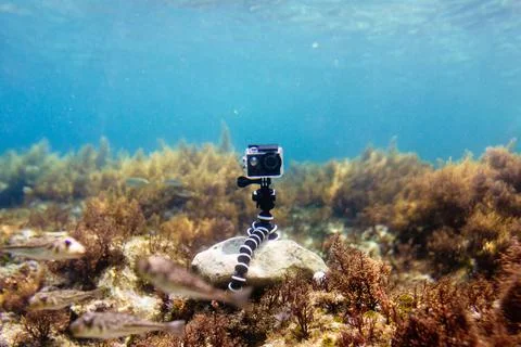 Using camera in waterproof box on a tripod to make photos and video Stock Photos
