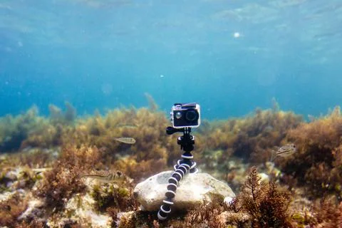 Using camera in waterproof box on a tripod to make photos and video Stock Photos
