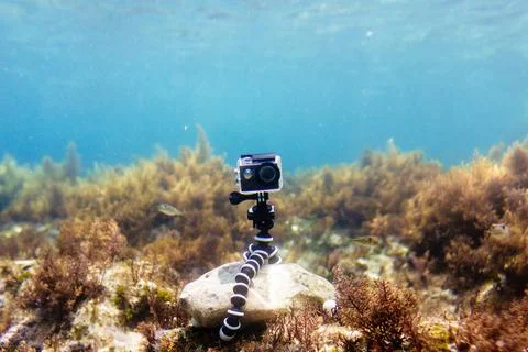 Using camera in waterproof box on a tripod to make photos and video Stock Photos