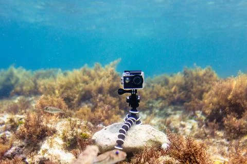 Using camera in waterproof box on a tripod to make photos and video Stock Photos
