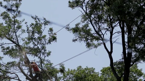 Using a chainsaw to cut down large tree in the city. Professional lumber jack cu Stockbeeldmateriaal 112158596