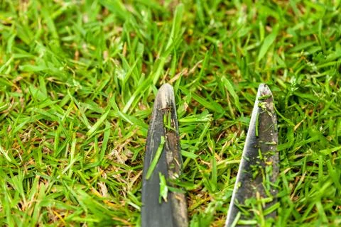Using clippers in the garden Stock Photos