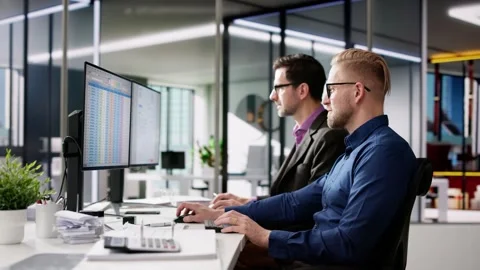 Using Corporate Invoice Spreadsheet Stock Footage 263481022