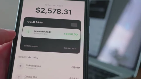 Using digital banking app on smartphone to track personal expenses Vídeo Stock 335518854