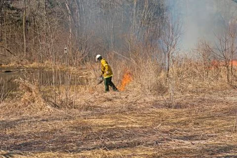 Using the Drip Torch to Start a Controlled Burn Photos
