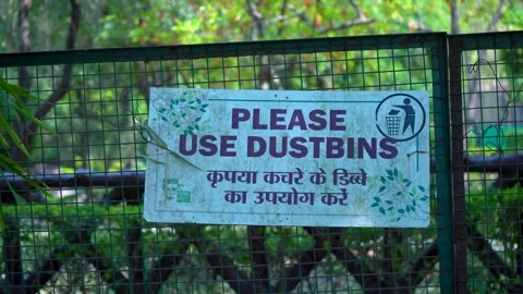 Using Dustbins to Preserve India’s Forests Stock Footage 313566637