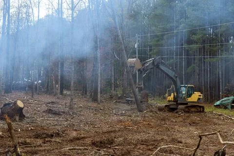 Using an excavator worker is clearing area uprooting trees to build a house. Stock Photos