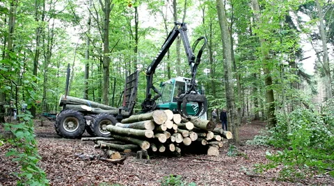 Using a forwarder trimming the wood Stock Footage 41758954