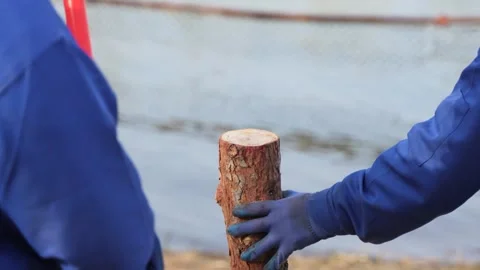 Using a hammer to hit wooden piles and install them, workers cooperate in the op Stock Footage 240205299