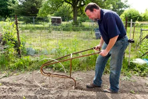 Using A High Wheel Cultivator To Make A Seed Row Stock Photos