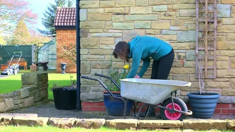 Using home made compost in springtime Stock Footage 321462858