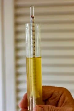 Using a hydrometer to measure specific gravity Stock Photos