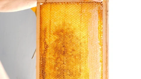 Using a knife to clog honeycombs Stock Footage 87694182