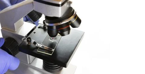 Using a microscope for biotechnology medical research on white background Stock Photos
