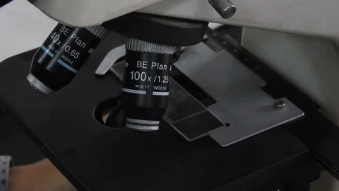 Using Microscope Stock Footage 69955069