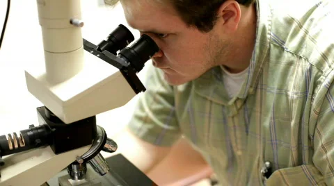 Using Microscope in Lab Video stock 622666