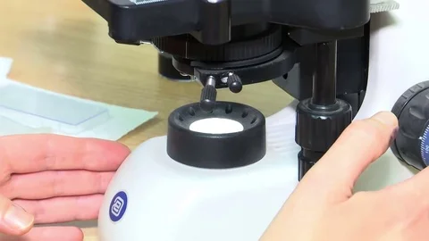 Using a Microscope in Science Stock Footage 71262054