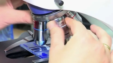Using a Microscope in Science Stock Footage 71262057