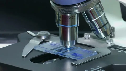 Using a Microscope in Science Stock-Footage 71262823