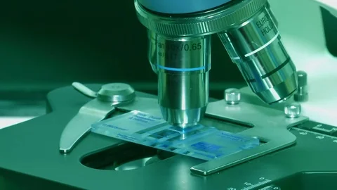 Using a Microscope in Science Stock Footage 71262851