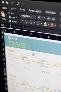 Using microsoft office excel software for tripexcel Foto stock