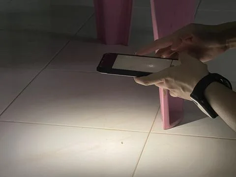 Using a mobile phone flashlight to observe ants at night Stock-Fotos