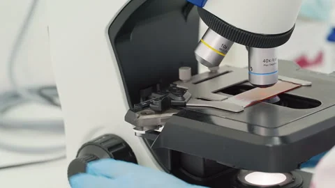 Using a modern microscope for blood test... | Stock Video | Pond5