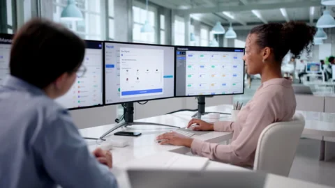 Using Payroll Software App 스톡 동영상 329305345