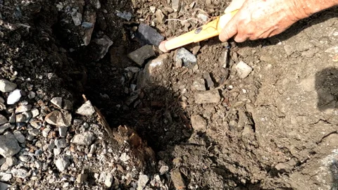 Using Pinpoint Metal Detector to Discover Silver Ore Stock Footage 246835799