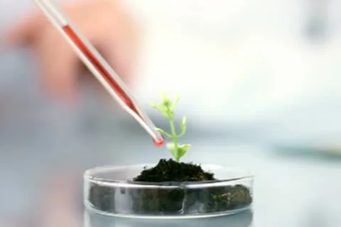 Using pipette to add red substance to plant in petri dish, steadicam shot NTSC Stock Footage 10648288