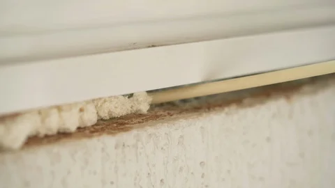 Using polyurethane foam to fill gaps during installing a window. Stock Footage 124679084
