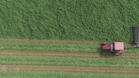Using a pull-type rotary disc, a farmer cuts a field of hay in NE Wisconsin. Vidéo 341025605