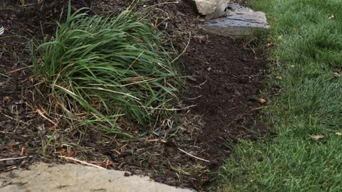 Using a rake to clean plant bed Stock-Footage 255658521