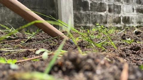 Using rake tool on soil home garden backyard daytime. Agriculture concept Stock Footage 205505131