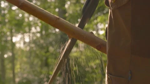 Using A Saw To Cut A Wooden Branch In Half Slow Motion In Light Sunny Wood Video stock 144036853
