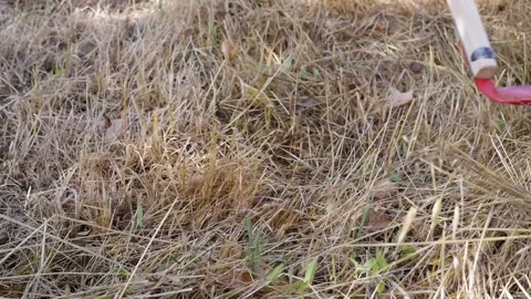 Using a scythe, cutting hay. Slow motion. Cutting grass with a scythe Stock Footage 162500059
