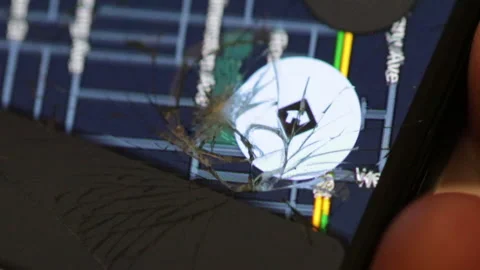 Using Shattered Screen Stock Footage 228691345